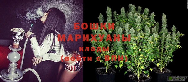 2c-b Белокуриха