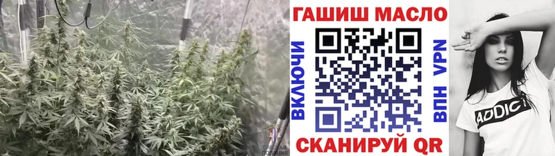 ТГК гашишное масло  где купить наркотик  Болхов 