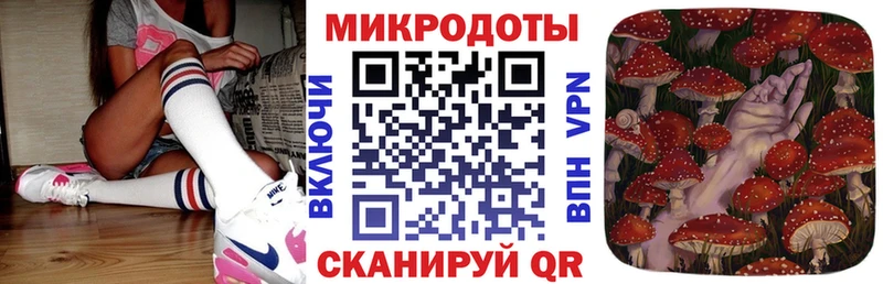 Галлюциногенные грибы Psilocybine cubensis  Болхов 